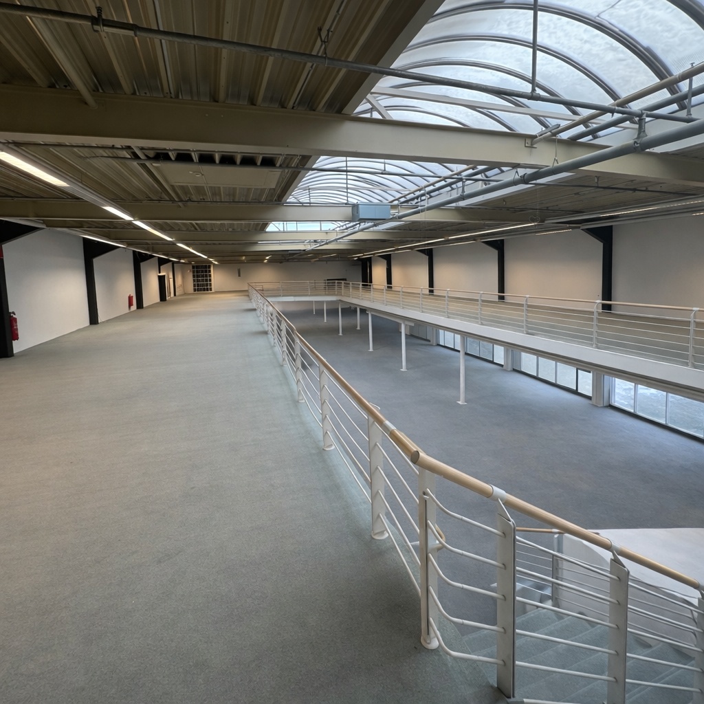 TOP Gewerbefläche/ Lagerhalle ehm. Möbelhaus oder sämtliche Gewerbliche Nutzung – Vorschau 6